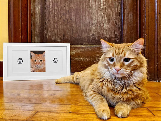 🐾 Kit de Impresión de Huellas para Mascotas - Recuerdo Inolvidable